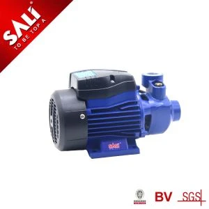 Elektrinis periferinis siurblys